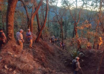 Incendios forestales, en 23 municipios mexiquenses