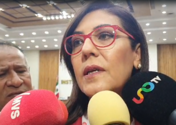 López Obrador no puede inmiscuirse en temas electorales, afirma consejera Zavala