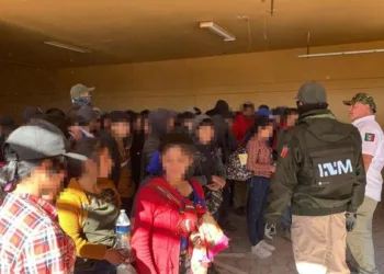Irreal, la cifra de 225 migrantes desaparecidos en México: ONG