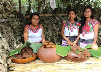 Brecha de género en México, una historia sin fin