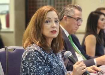 Candidatos presidenciales deben impulsar el uso de los seguros: AMIS