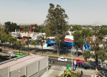 ¡A salir de casa! Suspenden contingencia ambiental
