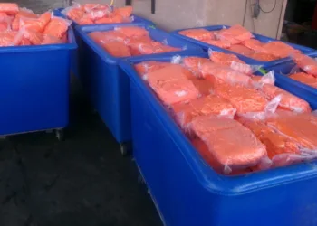 EU frustra ingenio de narcos; decomisa fentanilo
