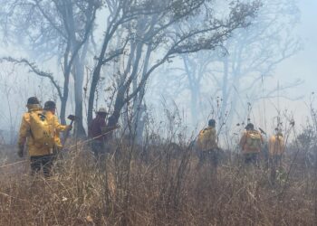 mil 200 brigadistas sofocan incendios.Foto:Francisco Castellanos