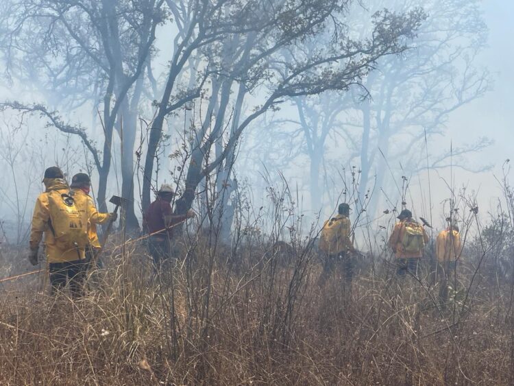 mil 200 brigadistas sofocan incendios.Foto:Francisco Castellanos