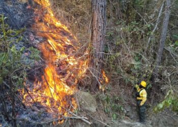 Emiten declaratoria de emergencia por incendios.Foto:Oscar Ramírez
