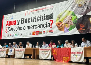 Piden reconocer electricidad y agua como derecho humano