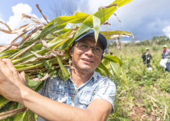 Las comunidades mayas mejoran el sistema tradicional de producción de la milpa