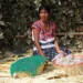 En pobreza, casi 4 de cada 10 mujeres en México: IMCO