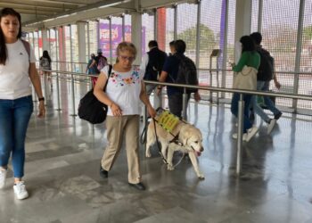 ¡Cuidado…perros guía trabajando!