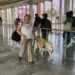 ¡Cuidado…perros guía trabajando!