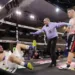 “Baldo” Ilagor logra brutal nocaut