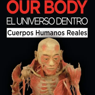 “Our Body: El Universo Dentro” | AMEXI/FOTO: Instagram @ourbodymexico