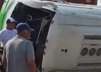 Embiste el tren a un autobús de pasajeros en Hidalgo. Redes Sociales