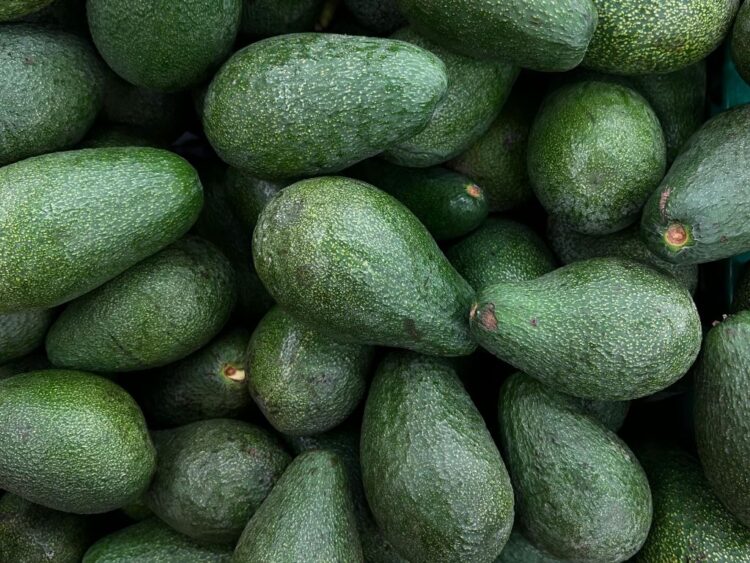 Caja con aguacates. AMEXI/Foto/Pexels