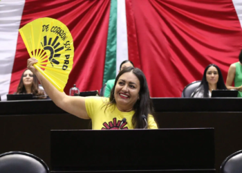 Es una locura que Sheinbaum acuse a oposición de comprar votos: diputada del PRD