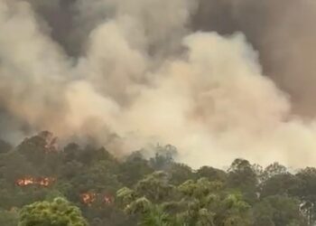 Incendio forestal en Tejupilco, provoca suspensión de clases. Foto: Gerardo Carmona/AMEXI