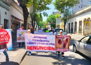 Marchan animalistas para urgir medidas extraordinarias contra el maltrato animal en Edomex