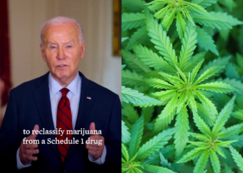 Eliminará EU la marihuana de su lista de drogas más peligrosas