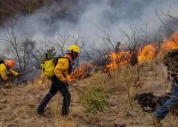 Suman ya 6 brigadistas muertos por incendios forestales en Oaxaca. 