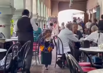 Preparan operativo de rescate de 204 niños chiapanecos que son explotados en el zócalo de Oaxaca