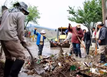 Protección Civil espera normalizar mañana las severas afectaciones por lluvias en 5 municipios