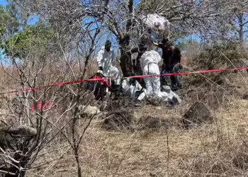Localizan restos de 16 personas en fosa clandestina en un cerro de Jacona