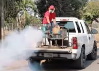 Morelia registra nueve casos de dengue en las últimas dos semanas