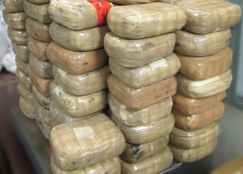 Decomisan drogas por 38 millones de dólares en San Diego, en el marco de la Operación Apolo contra el fentanilo