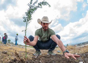 Cumple PVEM con la reforestación de un árbol por cada voto en el Edomex