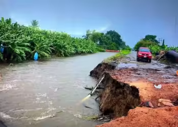 Lluvias en el Soconusco generan pérdidas millonarias en el campo