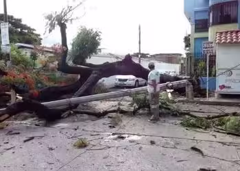 Lluvias en la capital chiapaneca causan diversas afectaciones: Cero víctimas