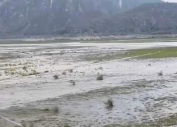 Revive la Laguna de Metztitlán con las últimas lluvias