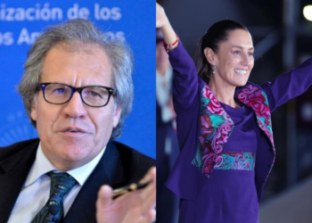 La OEA ofrece trabajar con Sheinbaum tras su victoria electoral
