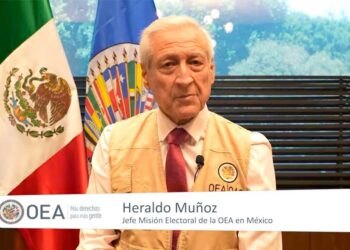 Alta afluencia de mexicanos para salir a votar: Misiones Electorales OEA