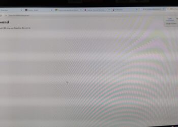 Página Web del IECM sigue sin funcionar
