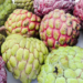 Chapingo investiga frutos para desarrollar biopesticidas y biocombustibles