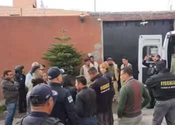 Rescatan animales en Zinactepec, entre ellos a un león