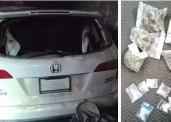 Aseguran predio relacionado con narcomenudeo