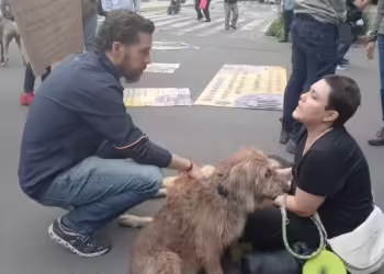 Tribunal Administrativo ordena reabrir Parque Canino Gandhi: Carbia
