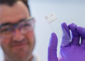 Gobierno de EU da a Moderna 176 MDD para vacuna contra influenza aviar H5N1
