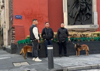 Perros y agentes con corte militar refuerzan seguridad de Sheinbaum