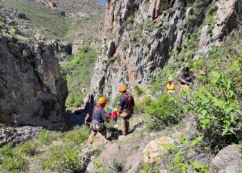 Rescatan a perros con vida después de varias horas de labor