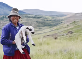 Llama sector salud a prevenir enfermedades zoonóticas