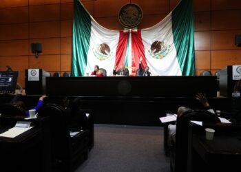 Dictamen sobre apoyo a jóvenes desempleados avanza en comisiones
