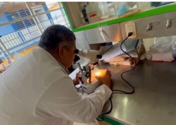 Se eleva a 3 el número de decesos por dengue