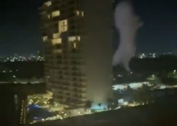 Capturan a extranjero que lanzó un perro desde un edificio