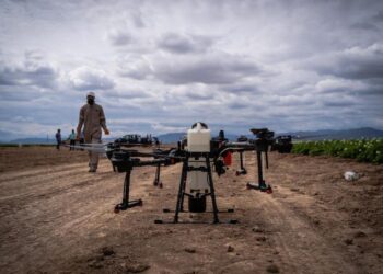 ¿Qué es un escáner de suelos y cómo sirve a la digitalización agrícola?