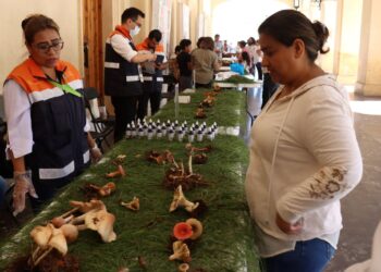 Inauguran Feria de Hongos para prevenir intoxicaciones