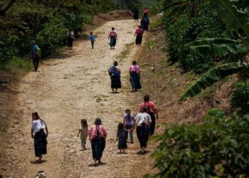 Abandonan sus viviendas 210 indígenas de Pantelhó